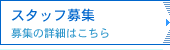スタッフ募集